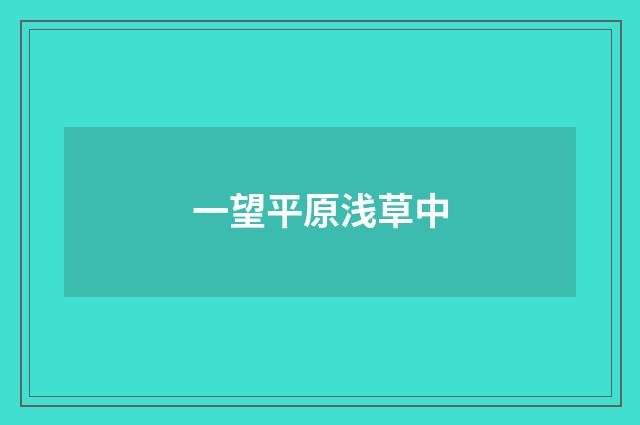 一望平原浅草中