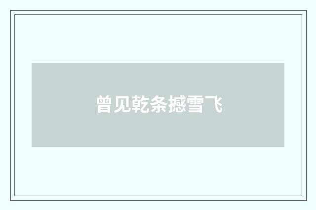 曾见乾条撼雪飞