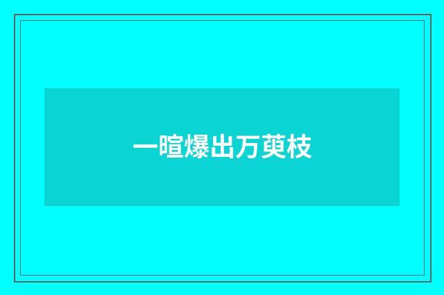 一暄爆出万萸枝