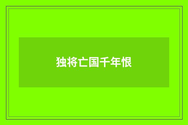 独将亡国千年恨