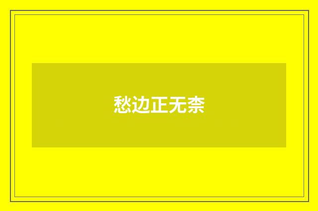 愁边正无柰