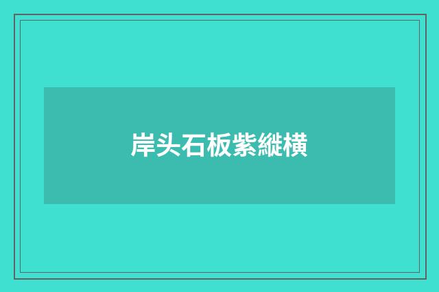 岸头石板紫縰横