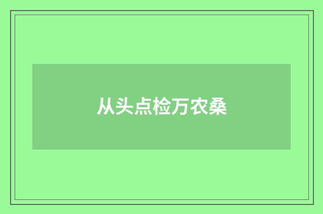 从头点检万农桑