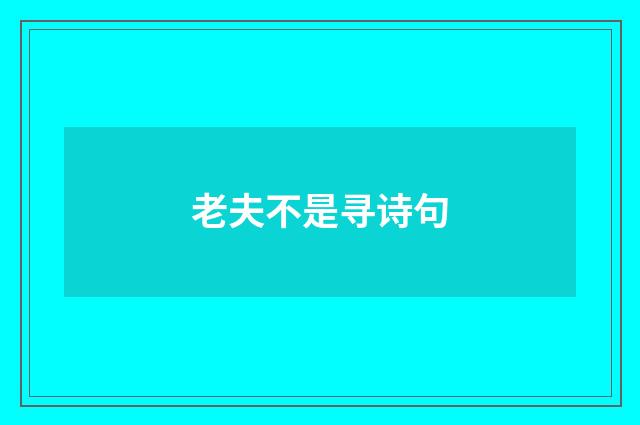 老夫不是寻诗句