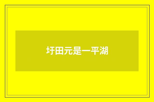 圩田元是一平湖