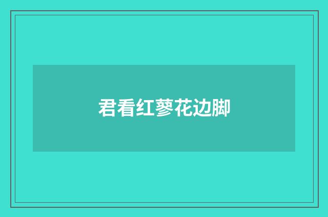 君看红蓼花边脚