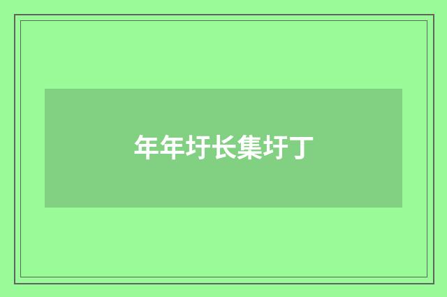 年年圩长集圩丁