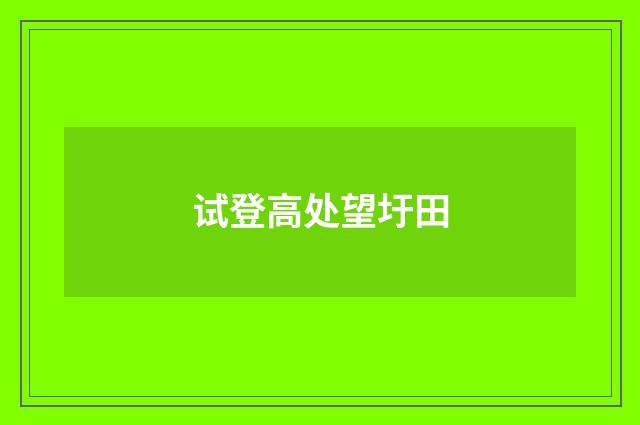 试登高处望圩田