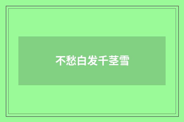 不愁白发千茎雪