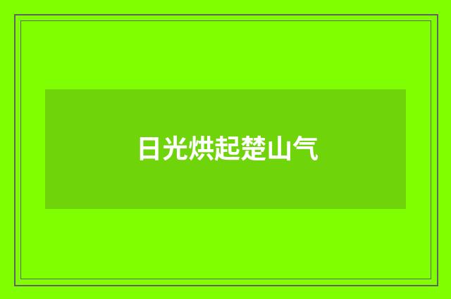 日光烘起楚山气