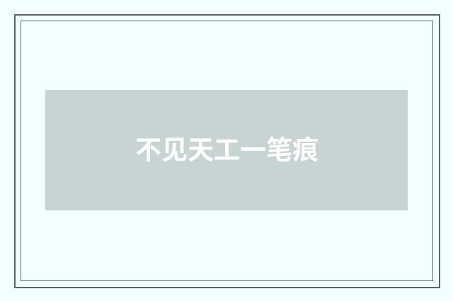 不见天工一笔痕