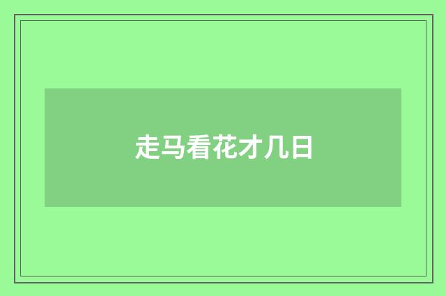 走马看花才几日