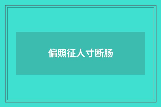 偏照征人寸断肠