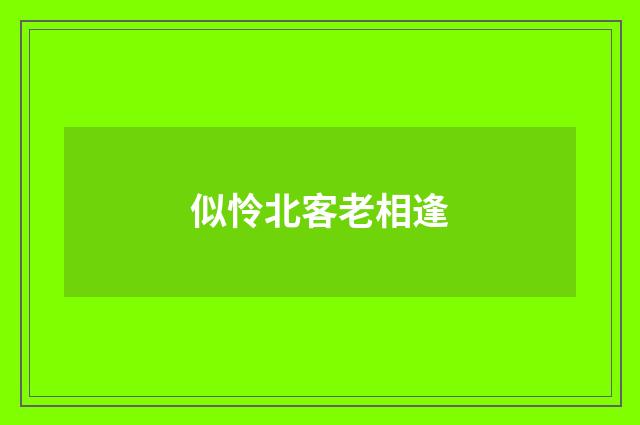 似怜北客老相逢