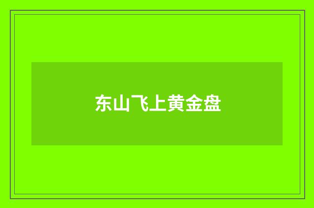 东山飞上黄金盘