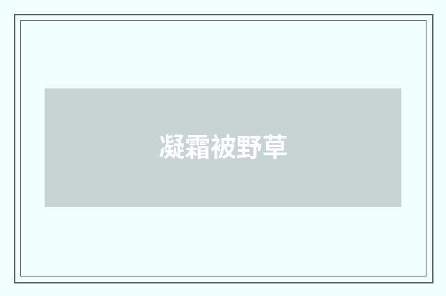 凝霜被野草