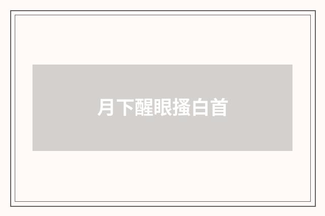 月下醒眼搔白首
