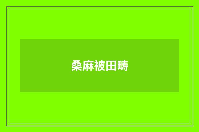 桑麻被田畴