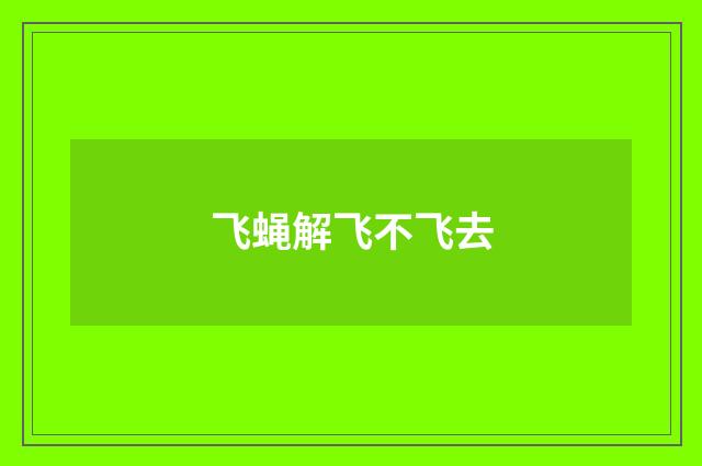 飞蝇解飞不飞去