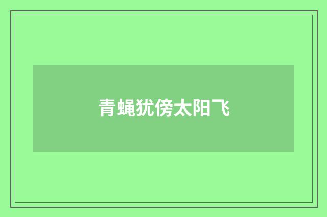 青蝇犹傍太阳飞