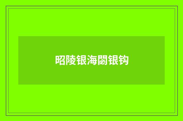 昭陵银海閟银钩