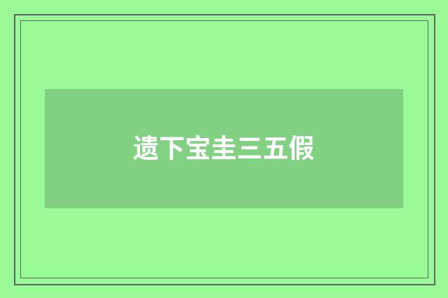 遗下宝圭三五假