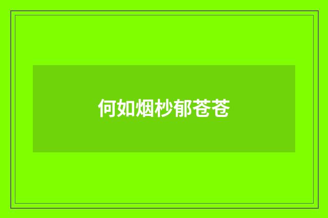 何如烟杪郁苍苍