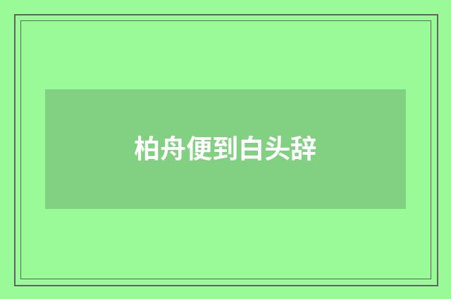 柏舟便到白头辞