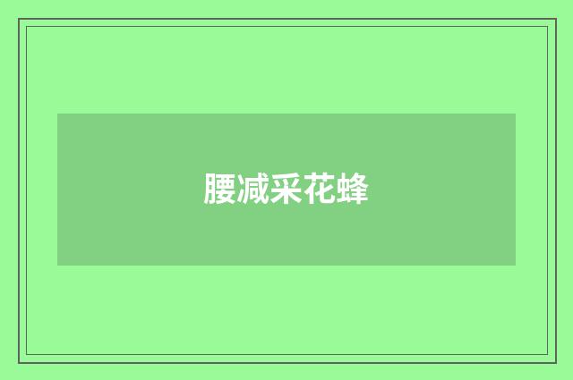 腰减采花蜂