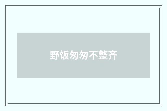 野饭匆匆不整齐