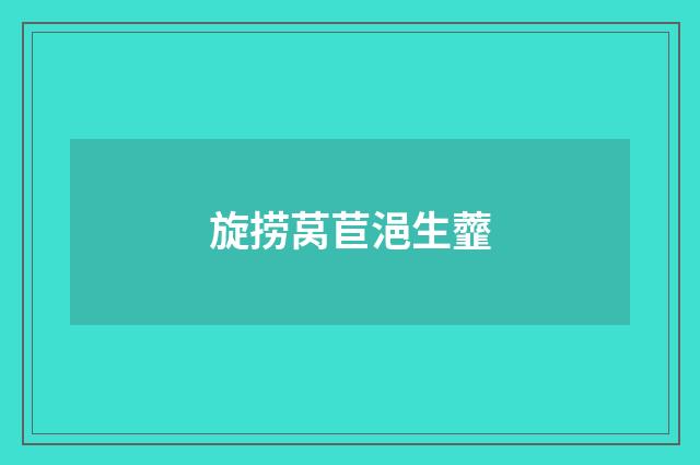 旋捞莴苣浥生虀
