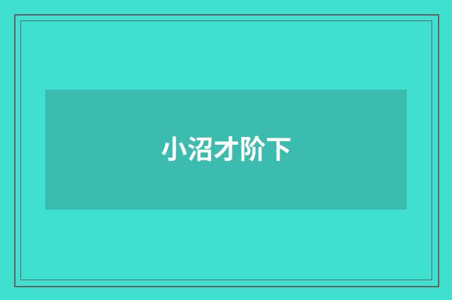 小沼才阶下