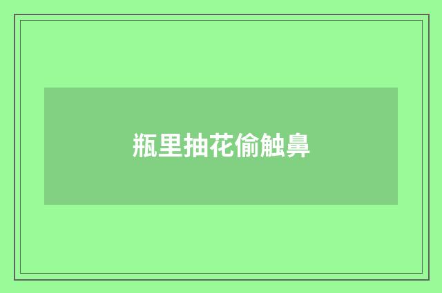 瓶里抽花偷触鼻