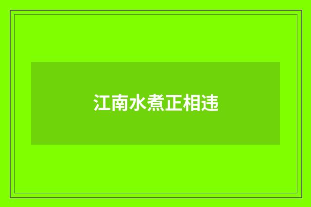 江南水煮正相违