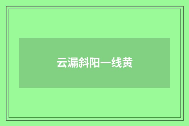 云漏斜阳一线黄