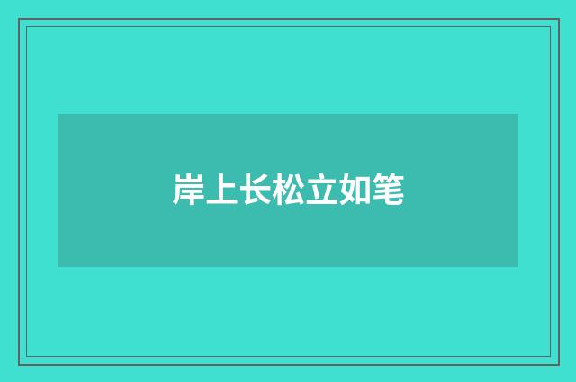 岸上长松立如笔
