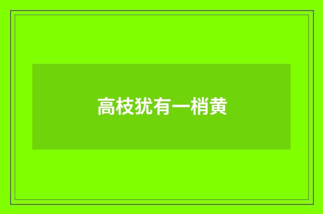 高枝犹有一梢黄