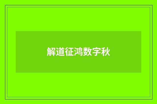 解道征鸿数字秋