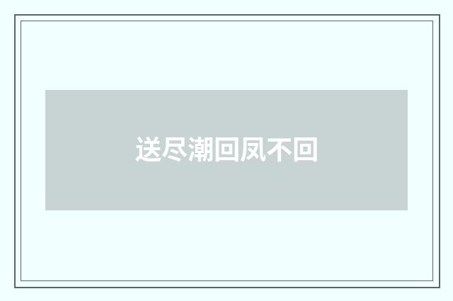 送尽潮回凤不回