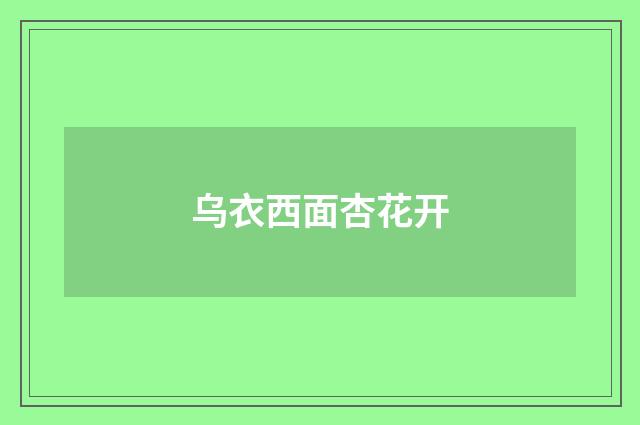 乌衣西面杏花开