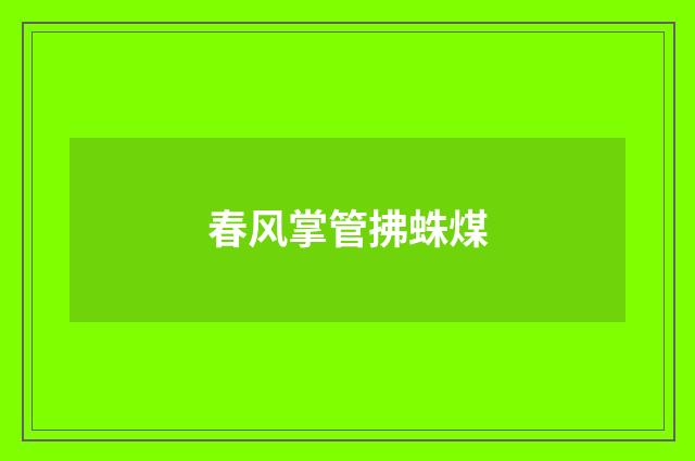 春风掌管拂蛛煤