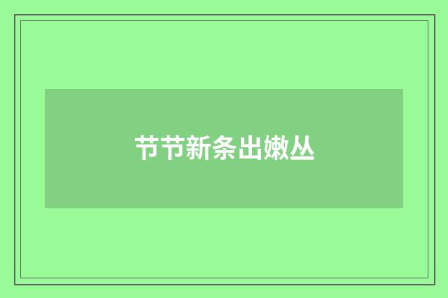 节节新条出嫩丛