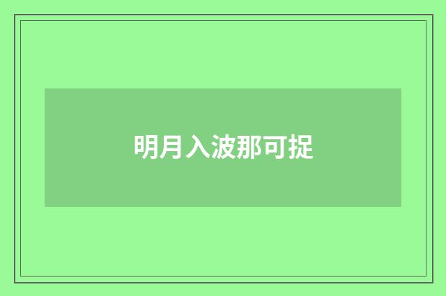 明月入波那可捉