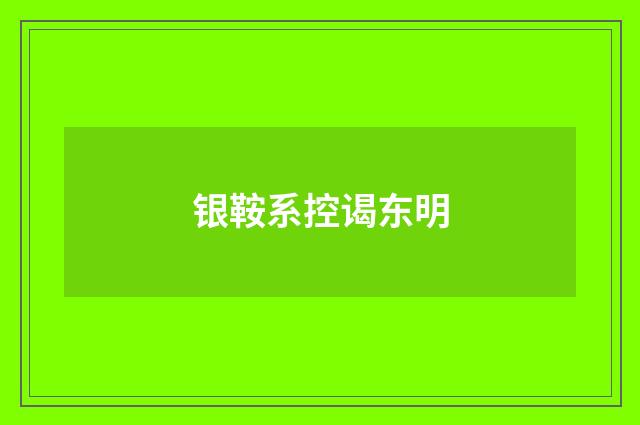 银鞍系控谒东明