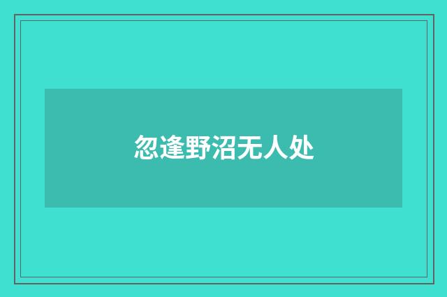 忽逢野沼无人处