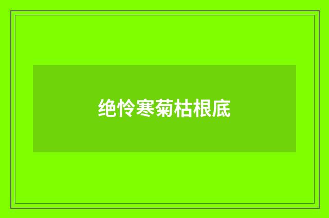 绝怜寒菊枯根底