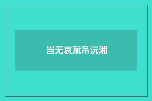 岂无哀赋吊沅湘