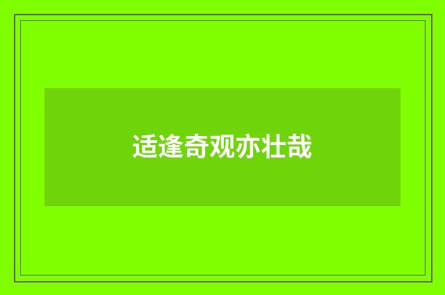 适逢奇观亦壮哉