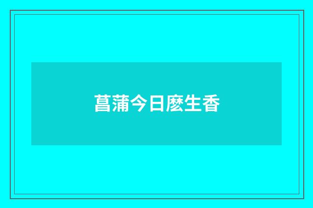 菖蒲今日麽生香