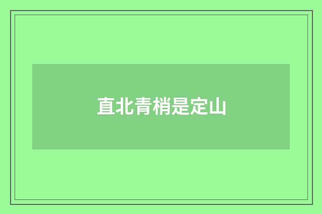 直北青梢是定山